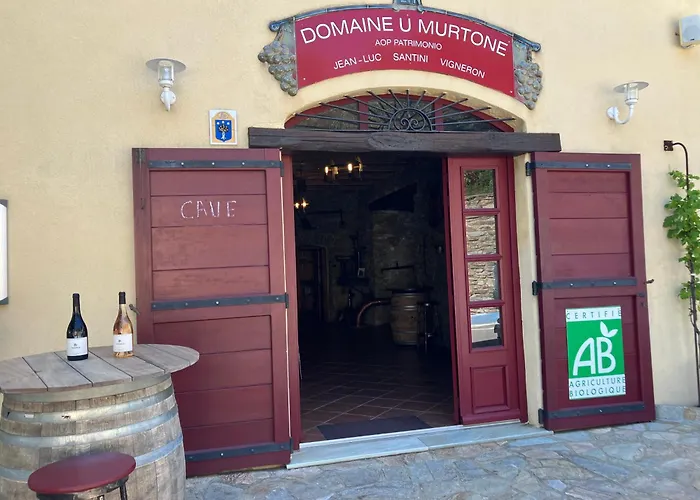 Du Vignoble