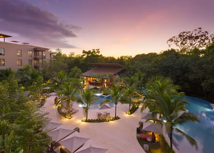 Botanika Osa Peninsula, Curio Collection By Hilton