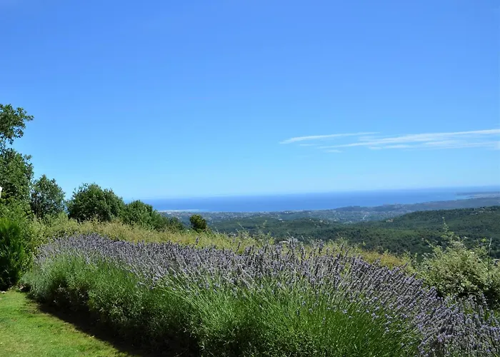 La Bastide des Pins
