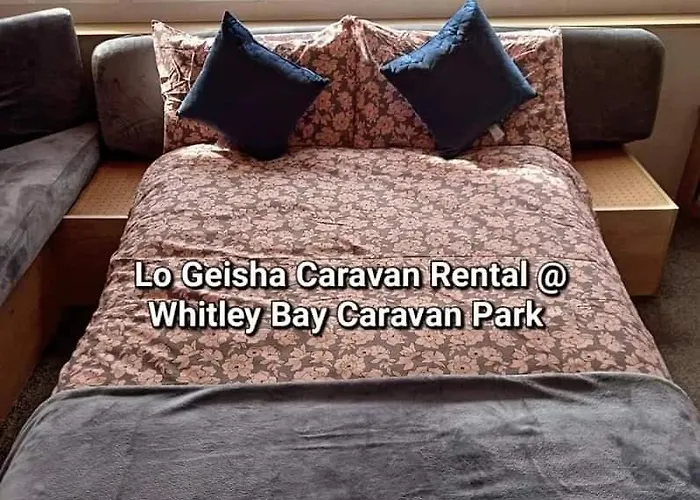 Lo Geisha Caravan Rental At Whitley Bay Caravan Park