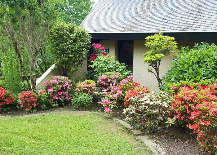 Jardin Des Chats