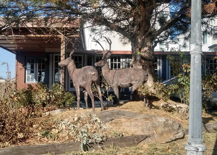 Charin Inn