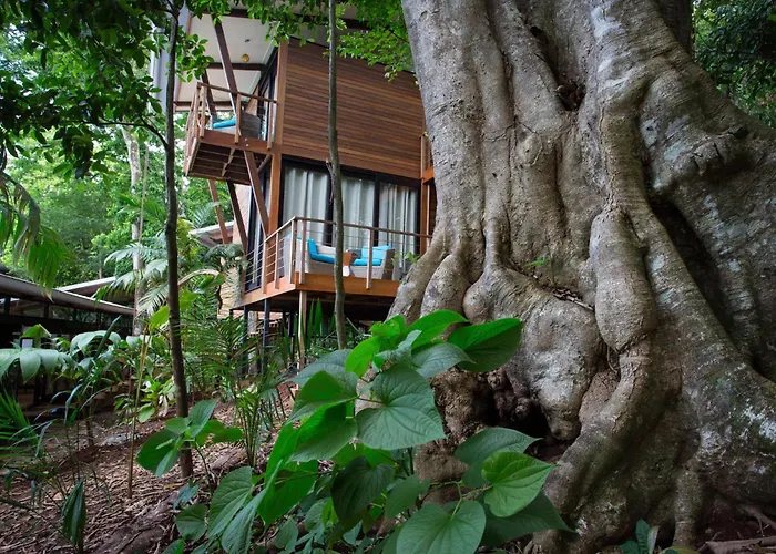 At Isla Palenque Member Of The Cayuga Collection