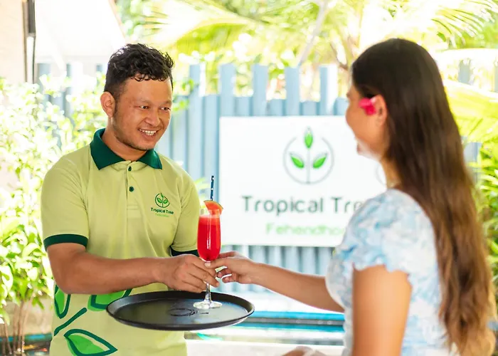 Tropical Tree