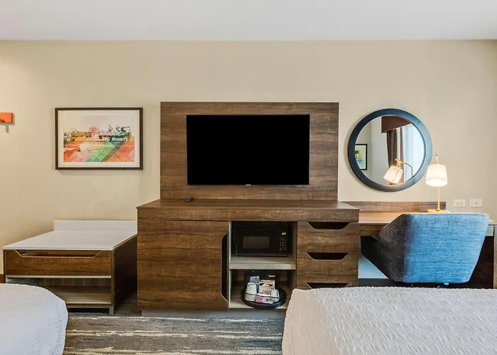 Hampton Inn & Suites Selma-San Antonio/Randolph Afb