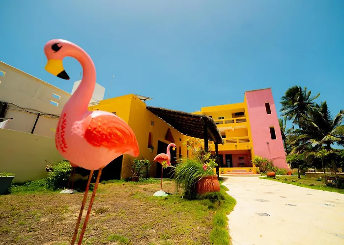 Hotel Flamingos Inn