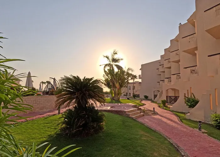 Ivy Cyrene Sharm Resort Adults Friendly Plus 13