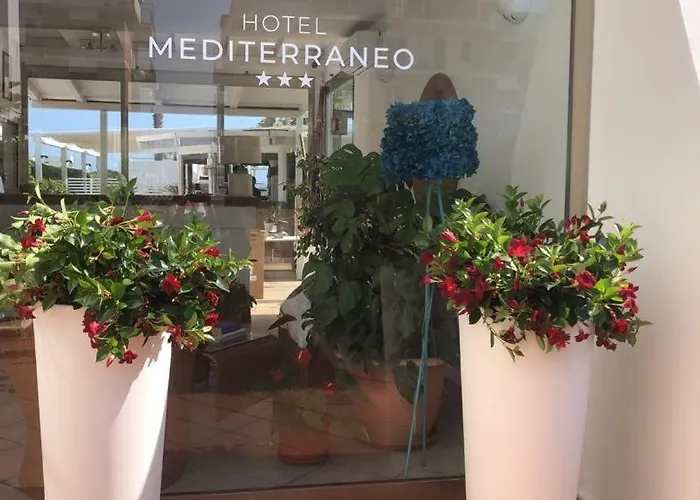 Hotel Mediterraneo