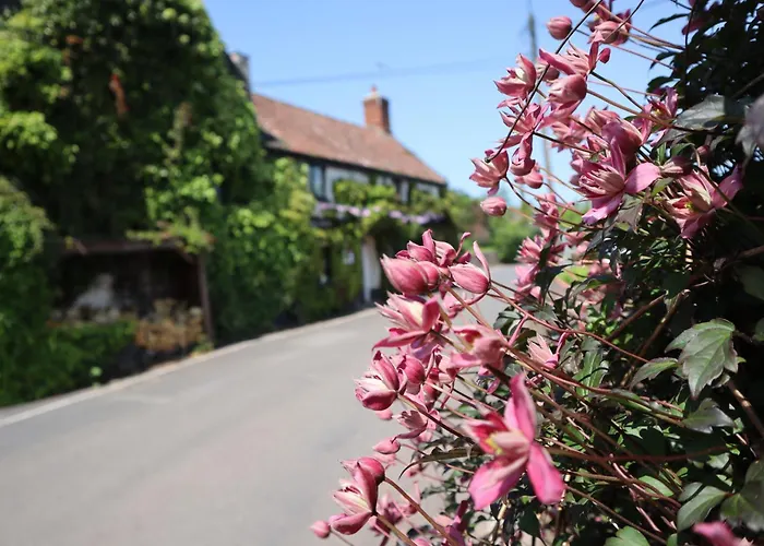 The White Horse Inn Washford