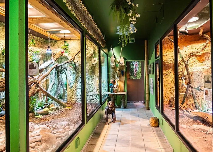 Aparthotel Tropenhaus Bansin Ostseebad Heringsdorf