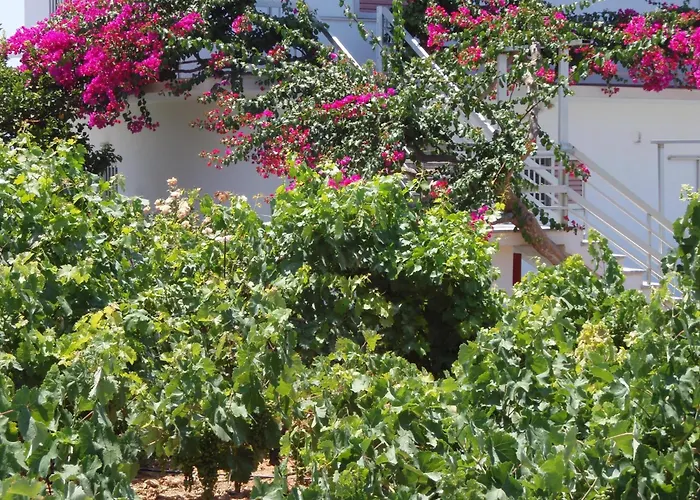 Villas Michalis Chorafakia