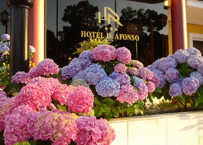 D. Afonso & Spa