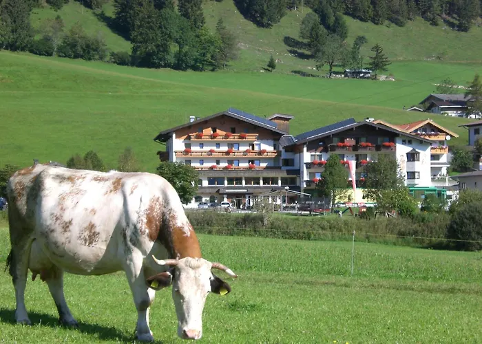 Hotel Wildauerhof