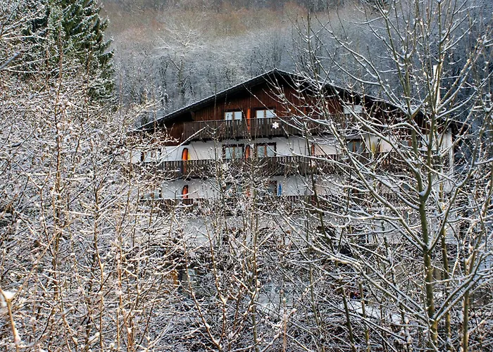 Wolffhotel