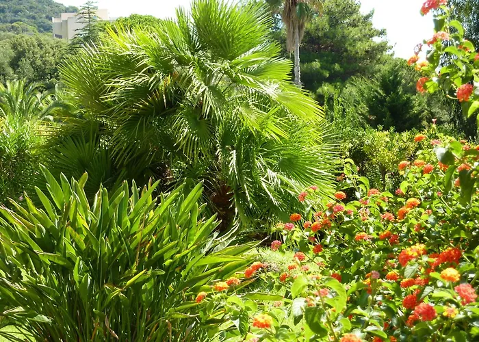 Hotel La Pinede Ajaccio 