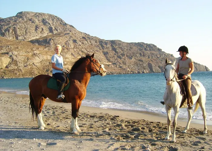 Alianthos Beach Hotel Plakias