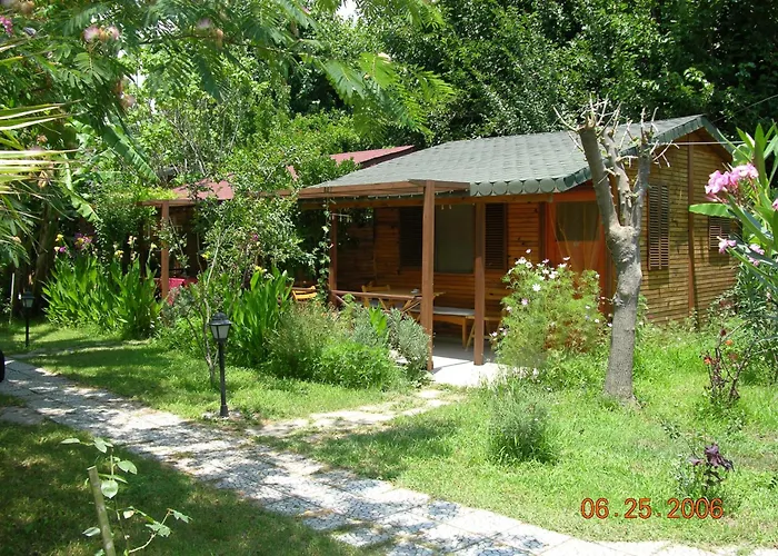 Myland Nature