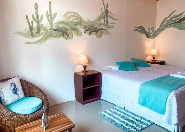 Hotel Coral Blanco With High Speed Internet Starlink And Galapagos Tour Operator