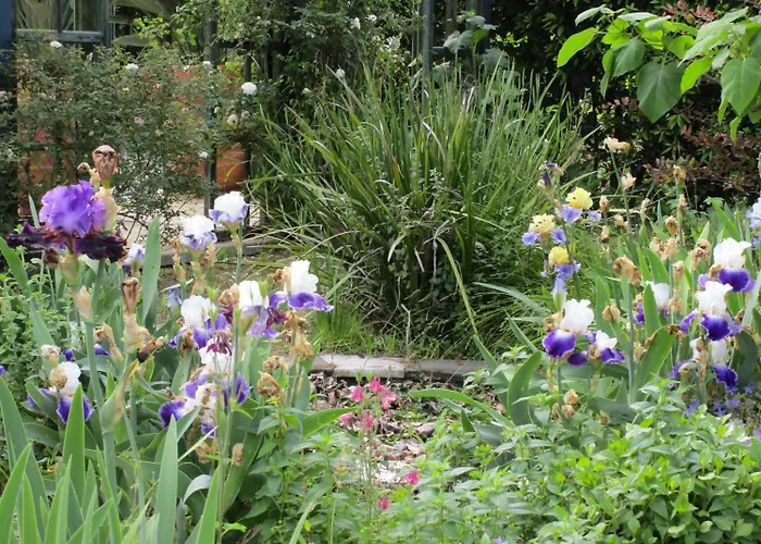 La Gallina Felice B&B