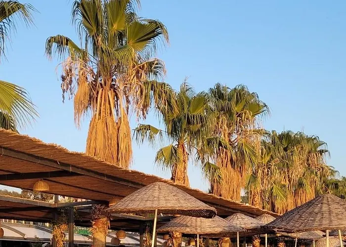 Ambrosia Hotel Beach & Spa Bitez