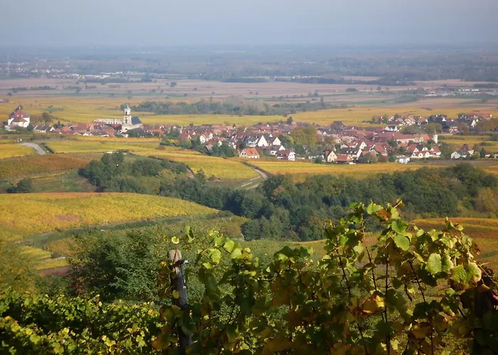Hotel A La Vignette - Colmar-Nord