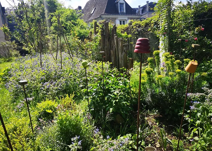 Demeure De Boisclaireau