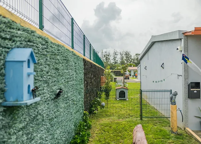 Parrots'Village