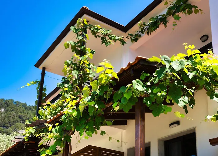 Island View Villa Chrisi Ammoudia