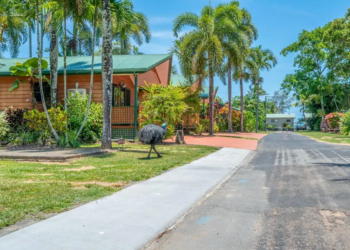 Big4 Tasman Holiday Parks - South Mission Beach