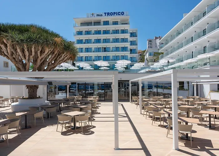Hotel Tropico Playa Palmanova