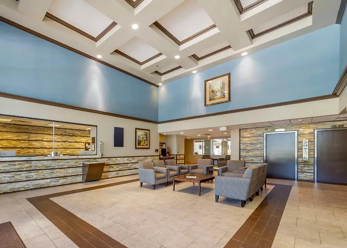 Best Western Naples Plaza Hotel Vineyards