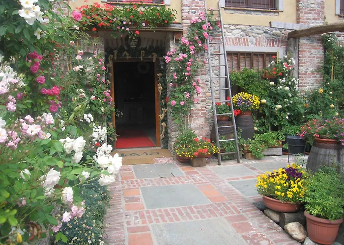 La Via'