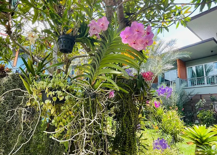Khaolak Forest Resort