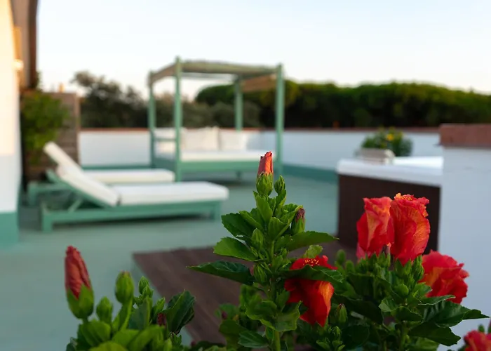 Park Hotel Giusy Lido di Camaiore