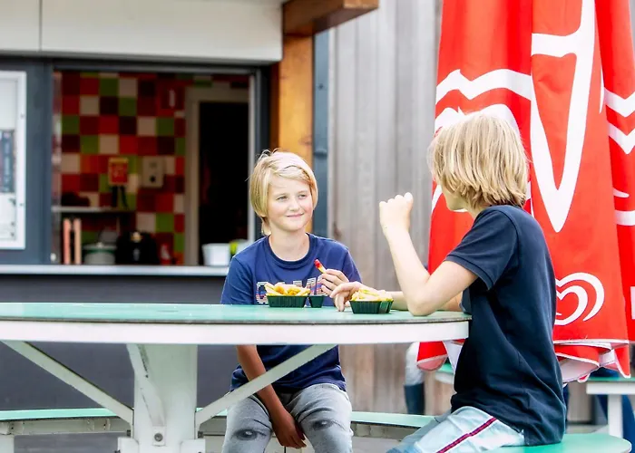 Vakantiepark Witterzomer Assen