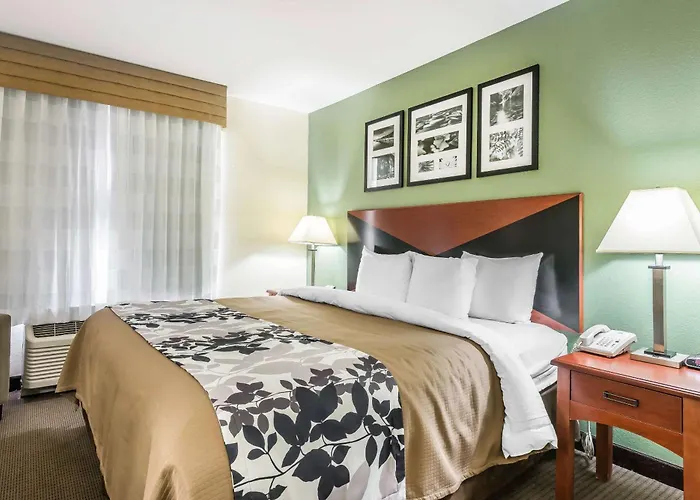 Sleep Inn & Suites University-Shands
