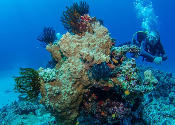 Tranquility Island Eco Dive Resort Sunae