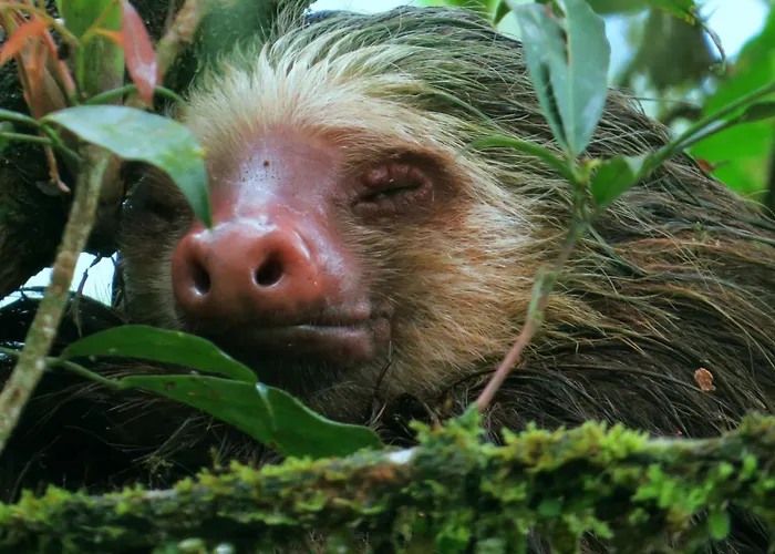 La Selva Biological Station