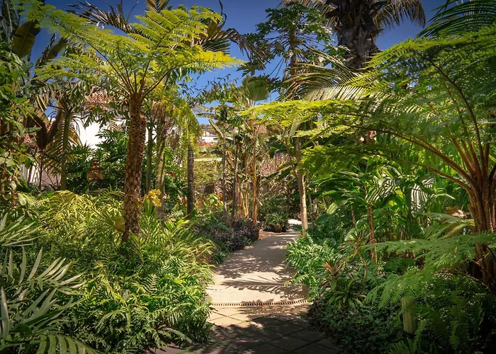 Hotel Hacienda De Abajo-Adults Only-Lujo Tazacorte