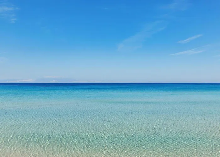 Hotel Sani Club