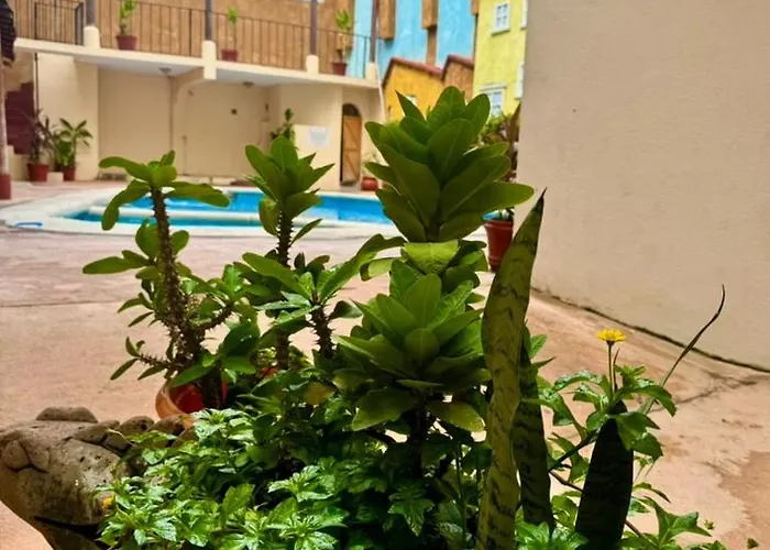 Hotel Zihuatanejo Centro
