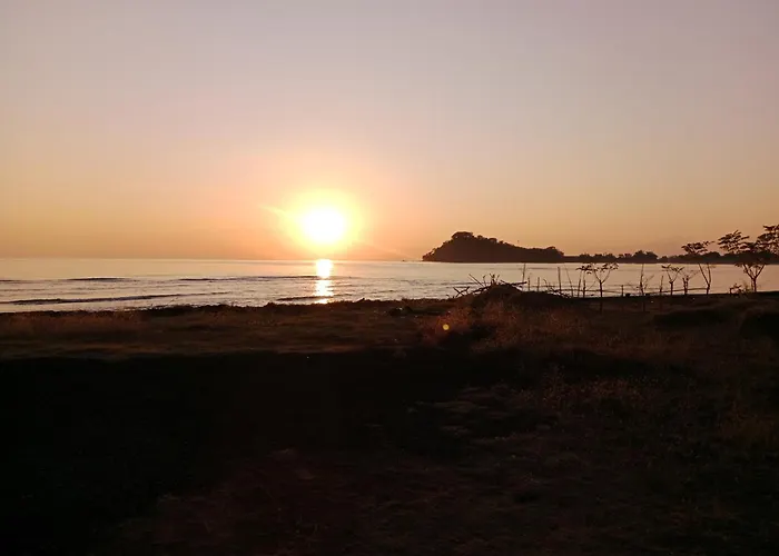 The Beach Bungalows & Turtle Sanctuary