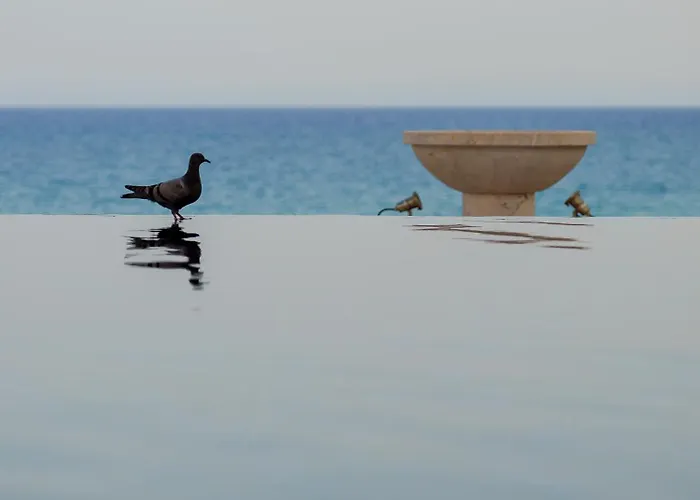 Hotel La Badira - Adult Only Hammamet
