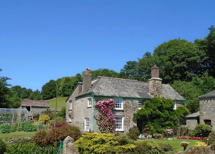Shute Farm