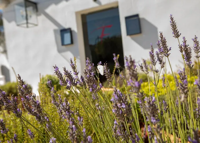 Mas De La Fouque - Hotel & Spa