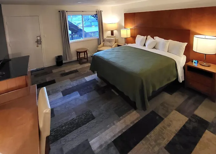 Shelton Inn