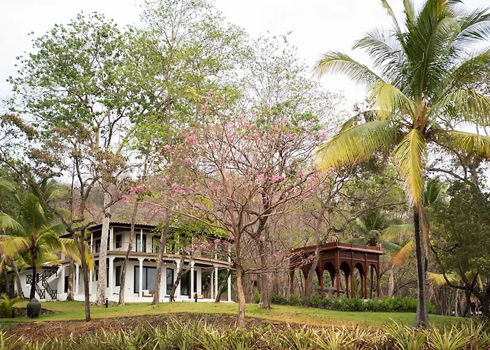 Reunion Wellness Resort & Retreats Playa Danta