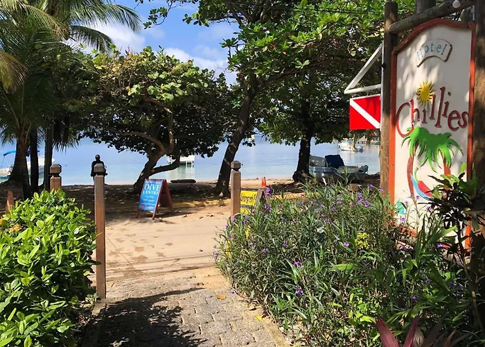 Hotel Chillies And Native Sons Diving