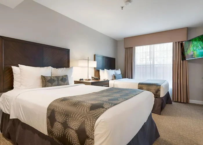 Chase Suites Brea-Fullerton - North Orange County