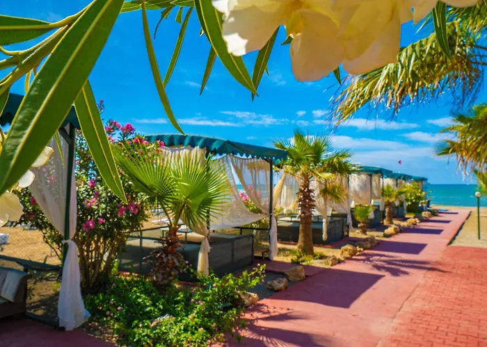 Club Wasa Holiday Village All Inclusive Toslak